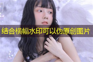 社会企业在上海的创新生态中扮演的角色